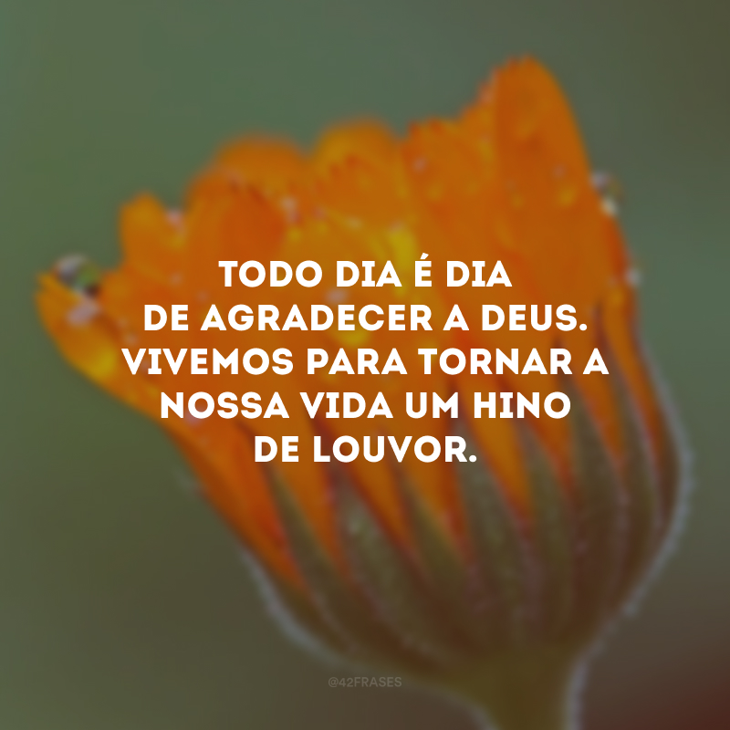 Todo dia é dia de agradecer a Deus. Vivemos para tornar a nossa vida um hino de louvor.