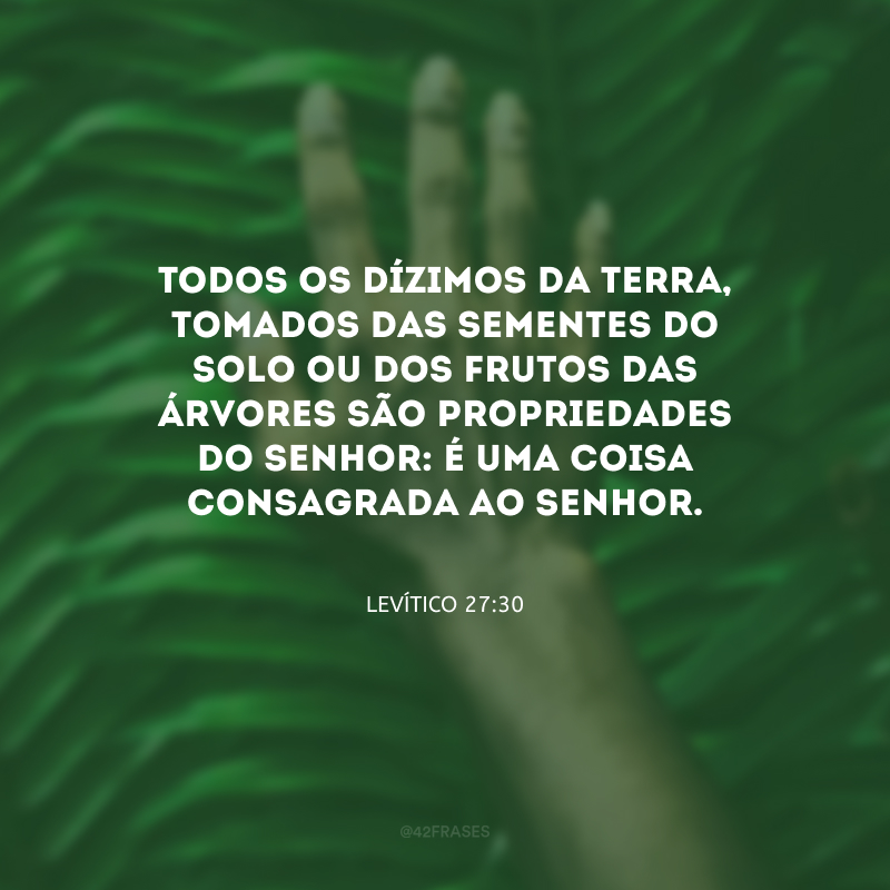 Todos os dízimos da terra, tomados das sementes do solo ou dos frutos das árvores são propriedades do Senhor: é uma coisa consagrada ao Senhor.