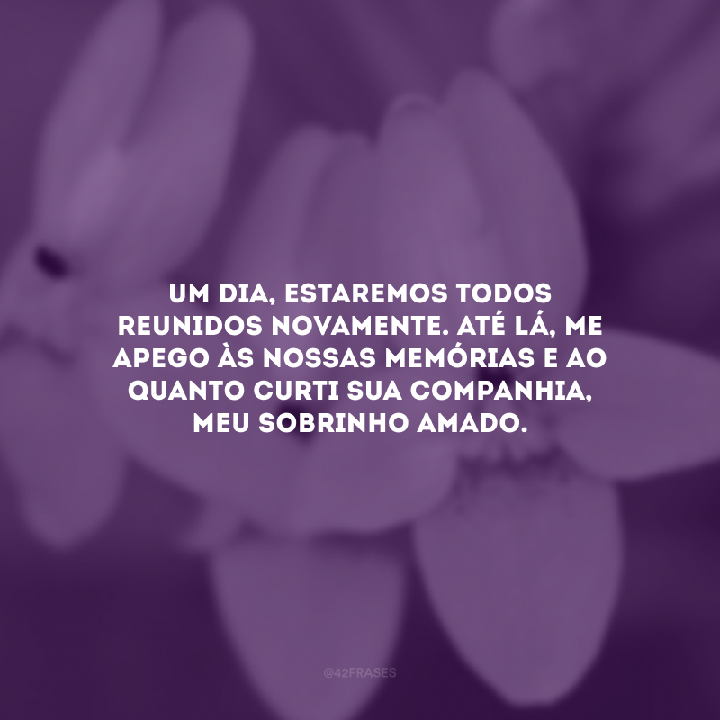 Um dia, estaremos todos reunidos novamente. Até lá, me apego às nossas memórias e ao quanto curti sua companhia, meu sobrinho amado.