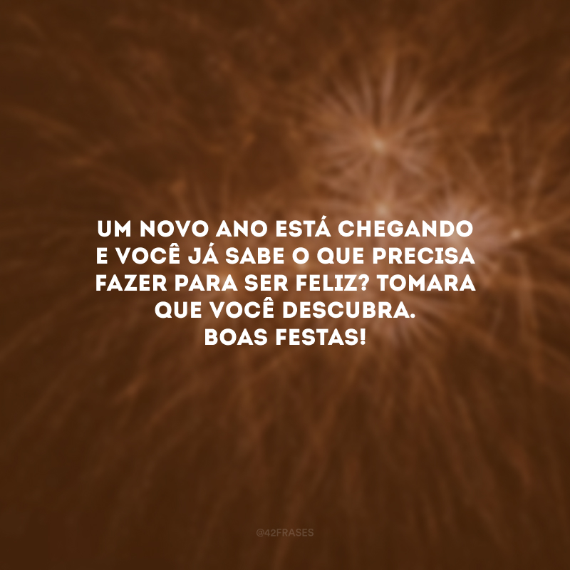 Um novo ano está chegando e você já sabe o que precisa fazer para ser feliz? Tomara que você descubra. Boas Festas!