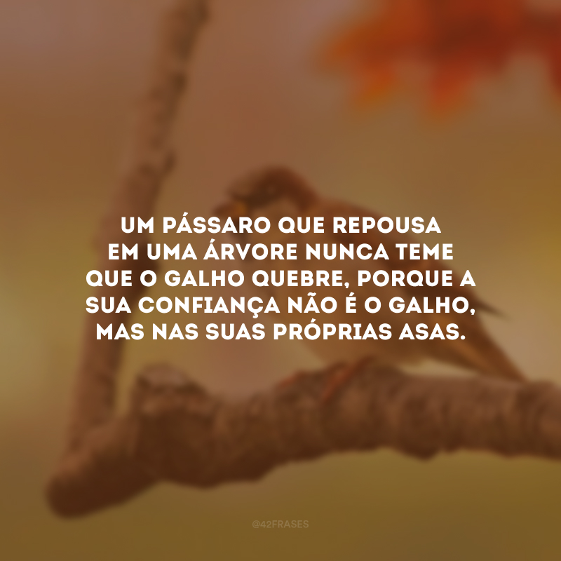 Um pássaro que repousa em uma árvore nunca teme que o galho quebre, porque a sua confiança não é o galho, mas nas suas próprias asas. 