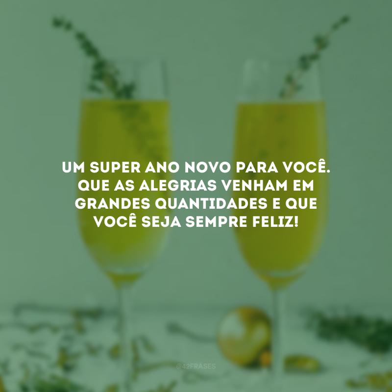 Um super Ano Novo para você. Que as alegrias venham em grandes quantidades e que você seja sempre feliz!