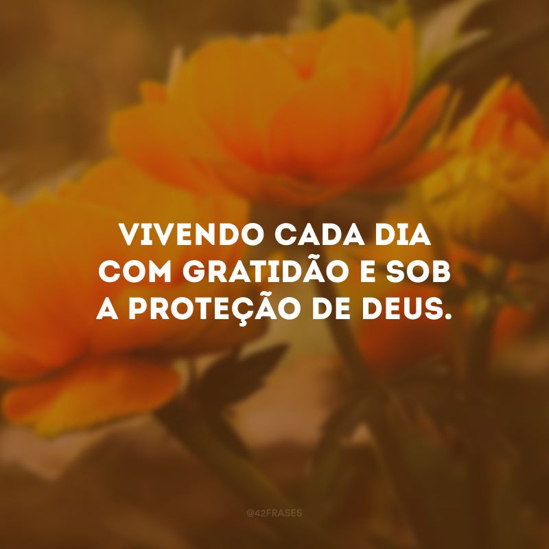 Vivendo cada dia com gratidão e sob a proteção de Deus. 