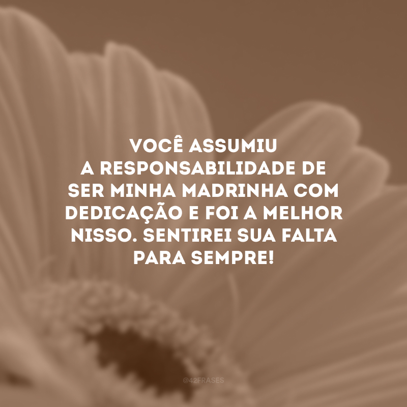 Você assumiu a responsabilidade de ser minha madrinha com dedicação e foi a melhor nisso. Sentirei sua falta para sempre!