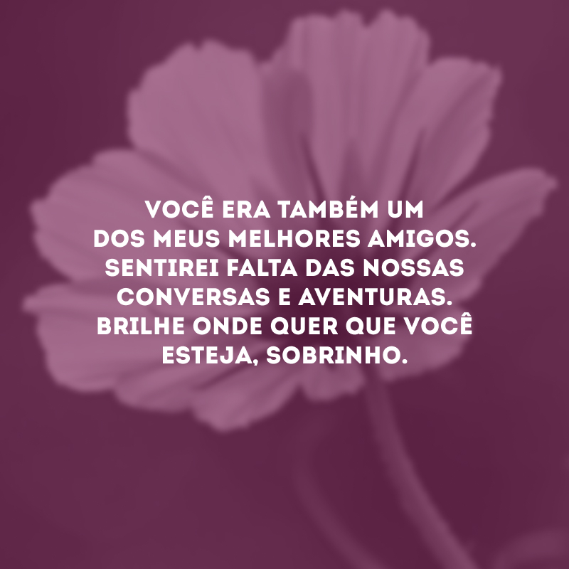 Você era também um dos meus melhores amigos. Sentirei falta das nossas conversas e aventuras. Brilhe onde quer que você esteja, sobrinho.