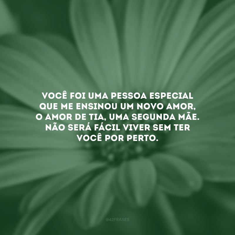 Você foi uma pessoa especial que me ensinou um novo amor, o amor de tia, uma segunda mãe. Não será fácil viver sem ter você por perto.