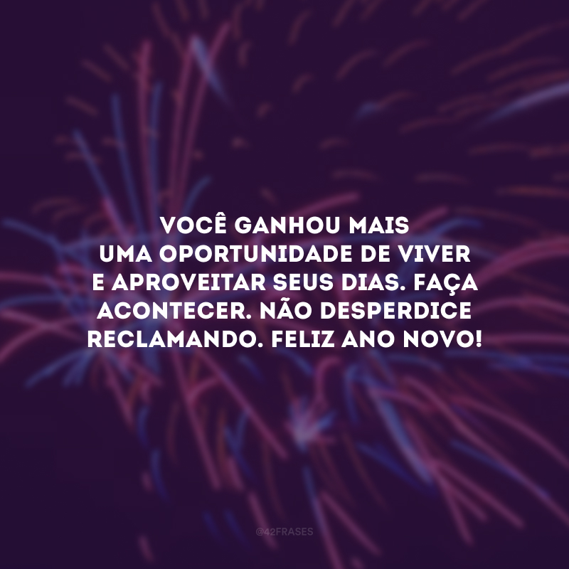 Você ganhou mais uma oportunidade de viver e aproveitar seus dias. Faça acontecer. Não desperdice reclamando. Feliz Ano Novo!