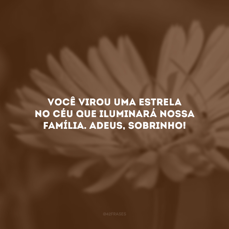 Você virou uma estrela no céu que iluminará nossa família. Adeus, sobrinho!