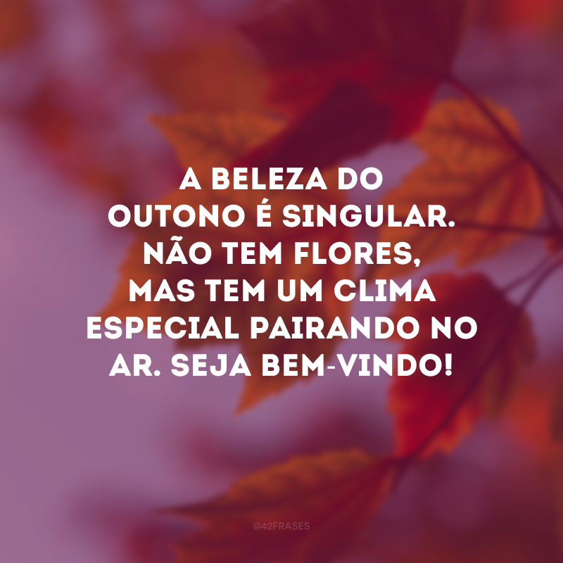 A beleza do outono é singular. Não tem flores, mas tem um clima especial pairando no ar. Seja bem-vindo!