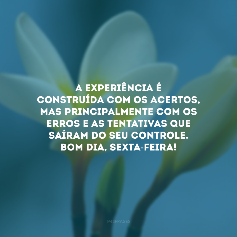 A experiência é construída com os acertos, mas principalmente com os erros e as tentativas que saíram do seu controle. Bom dia, sexta-feira!