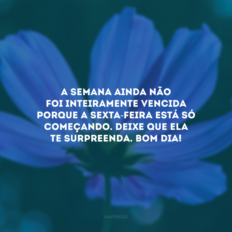 A semana ainda não foi inteiramente vencida porque a sexta-feira está só começando. Deixe que ela te surpreenda. Bom dia!