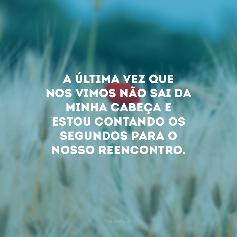 A última vez que nos vimos não sai da minha cabeça e estou contando os segundos para o nosso reencontro. 