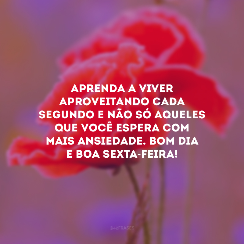 Aprenda a viver aproveitando cada segundo e não só aqueles que você espera com mais ansiedade. Bom dia e boa sexta-feira!