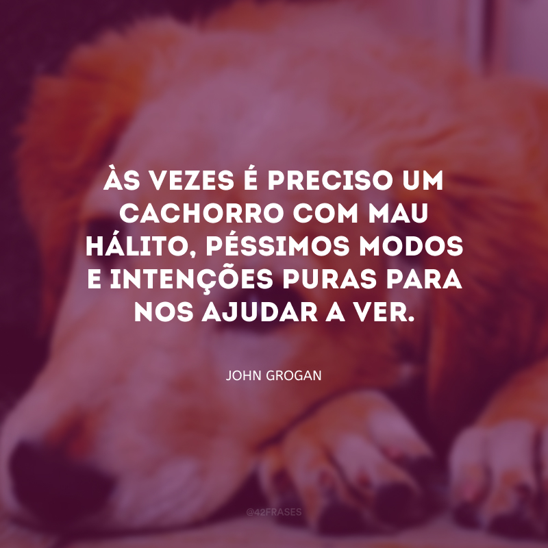 Às vezes é preciso um cachorro com mau hálito, péssimos modos e intenções puras para nos ajudar a ver.