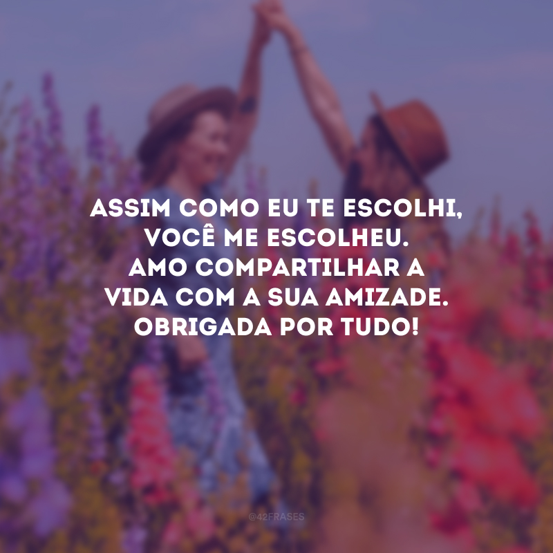 Assim como eu te escolhi, você me escolheu. Amo compartilhar a vida com a sua amizade. Obrigada por tudo!