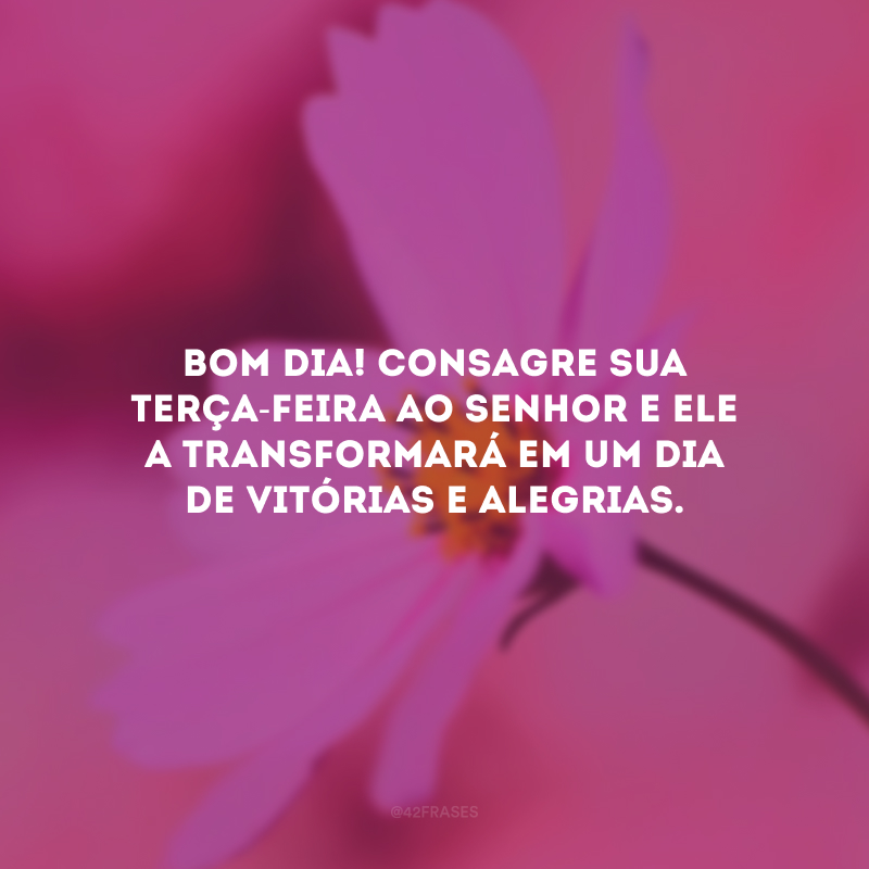 Bom dia! Consagre sua terça-feira ao Senhor e Ele a transformará em um dia de vitórias e alegrias.