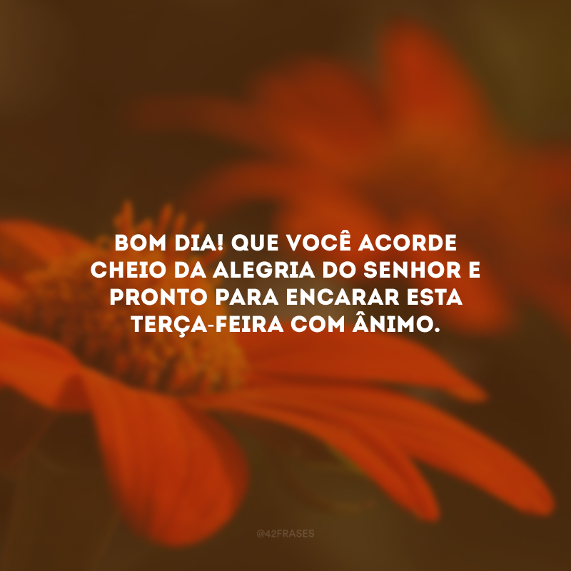 Bom dia! Que você acorde cheio da alegria do Senhor e pronto para encarar esta terça-feira com ânimo.