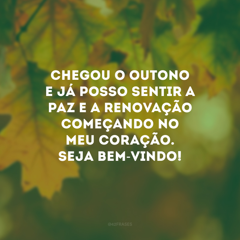 Chegou o outono e já posso sentir a paz e a renovação começando no meu coração. Seja bem-vindo!