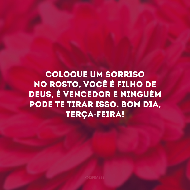 Coloque um sorriso no rosto, você é filho de Deus, é vencedor e ninguém pode te tirar isso. Bom dia, terça-feira!