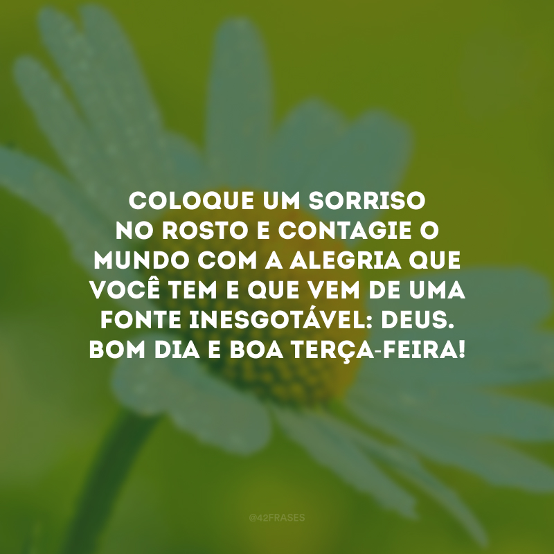 Coloque um sorriso no rosto e contagie o mundo com a alegria que você tem e que vem de uma fonte inesgotável: Deus. Bom dia e boa terça-feira!