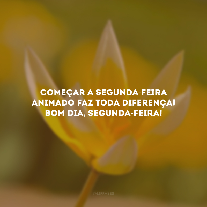 Começar a segunda-feira animado faz toda diferença! Bom dia, segunda-feira!