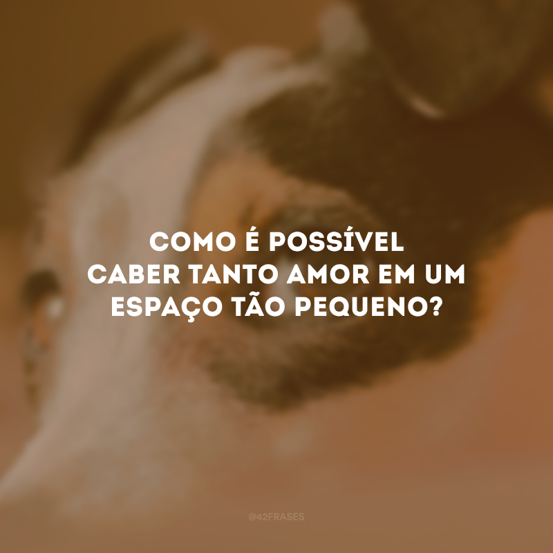 Como é possível caber tanto amor em um espaço tão pequeno?