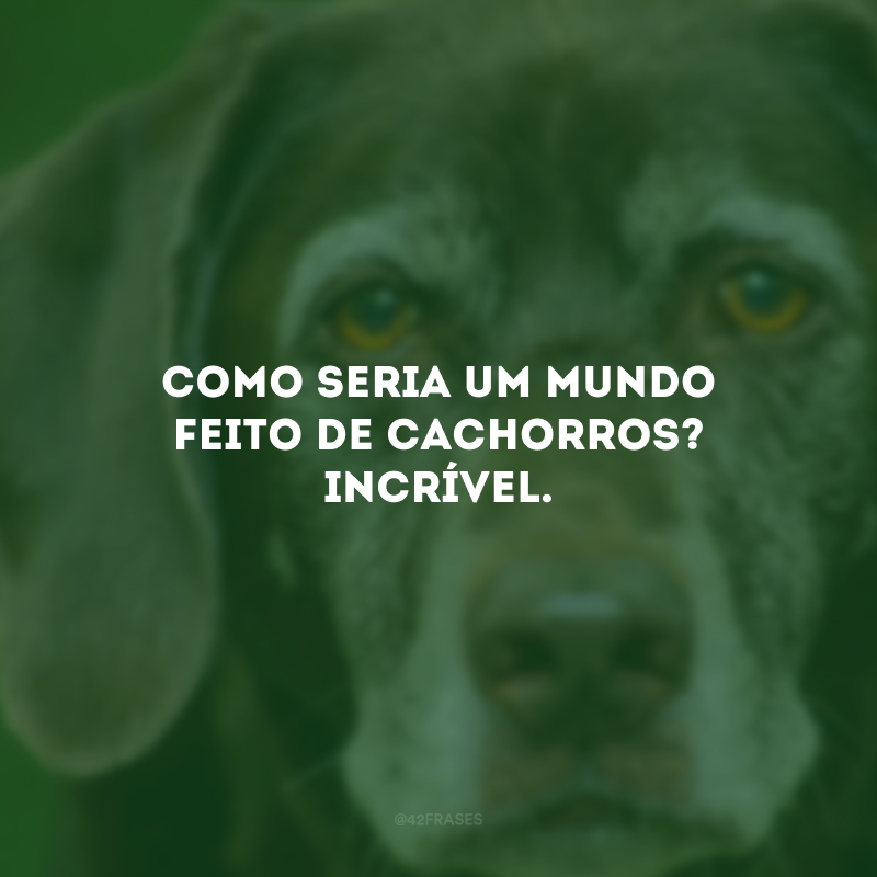 Como seria um mundo feito de cachorros? Incrível.