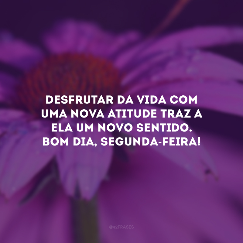 Desfrutar da vida com uma nova atitude traz a ela um novo sentido. Bom dia, segunda-feira!