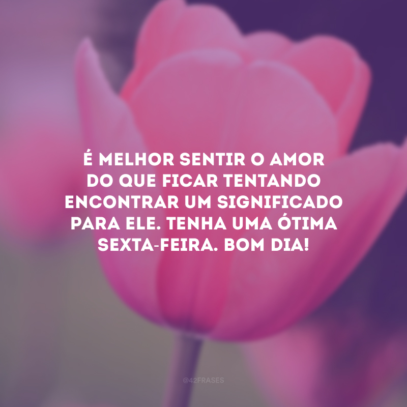 É melhor sentir o amor do que ficar tentando encontrar um significado para ele. Tenha uma ótima sexta-feira. Bom dia!