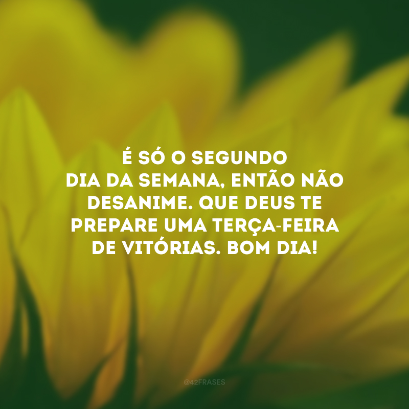 É só o segundo dia da semana, então não desanime. Que Deus te prepare uma terça-feira de vitórias. Bom dia!