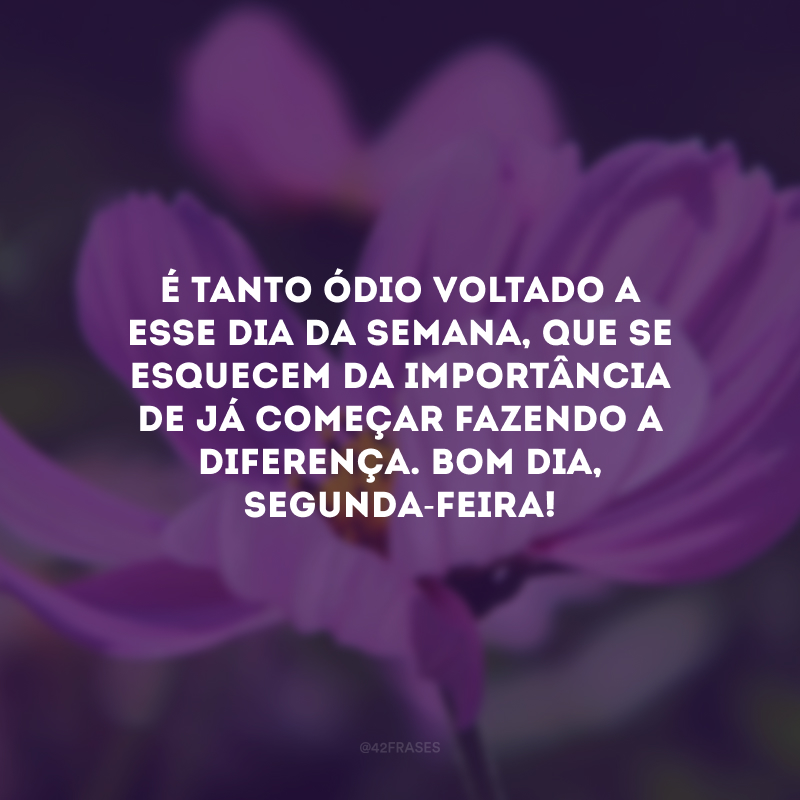 É tanto ódio voltado a esse dia da semana, que se esquecem da importância de já começar fazendo a diferença. Bom dia, segunda-feira!