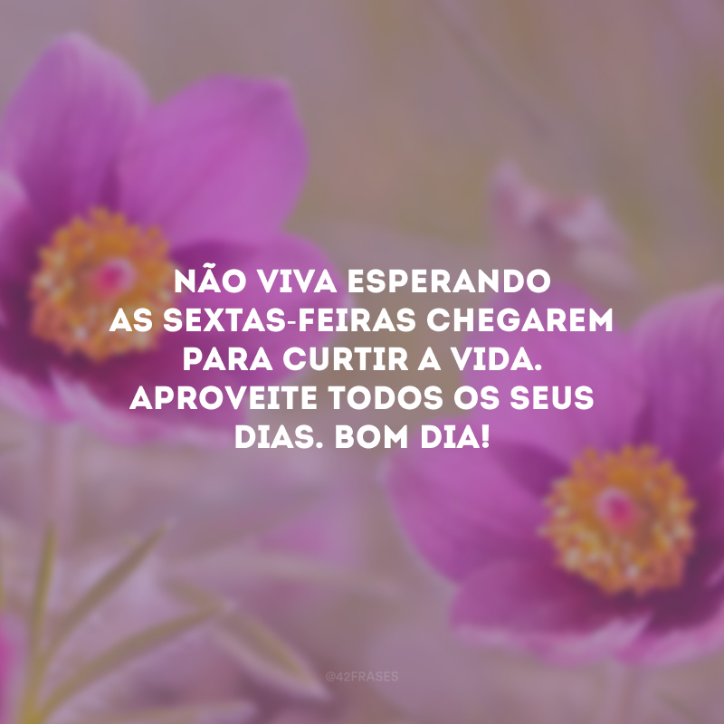 Não viva esperando as sextas-feiras chegarem para curtir a vida. Aproveite todos os seus dias. Bom dia!