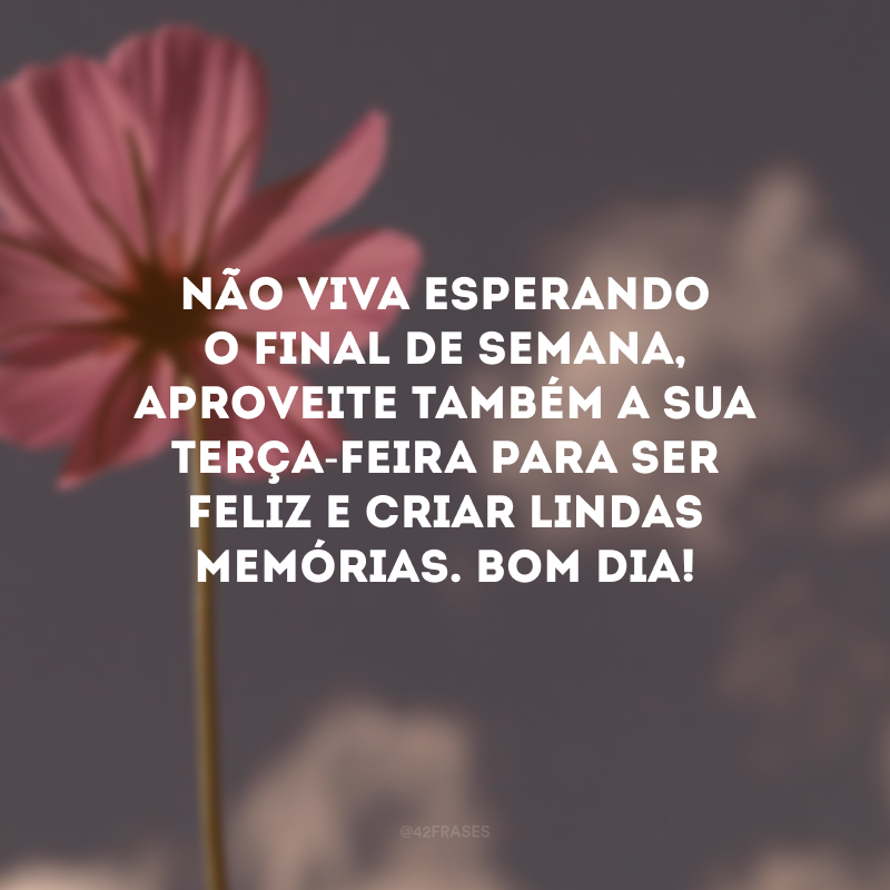 Não viva esperando o final de semana, aproveite também a sua terça-feira para ser feliz e criar lindas memórias. Bom dia!