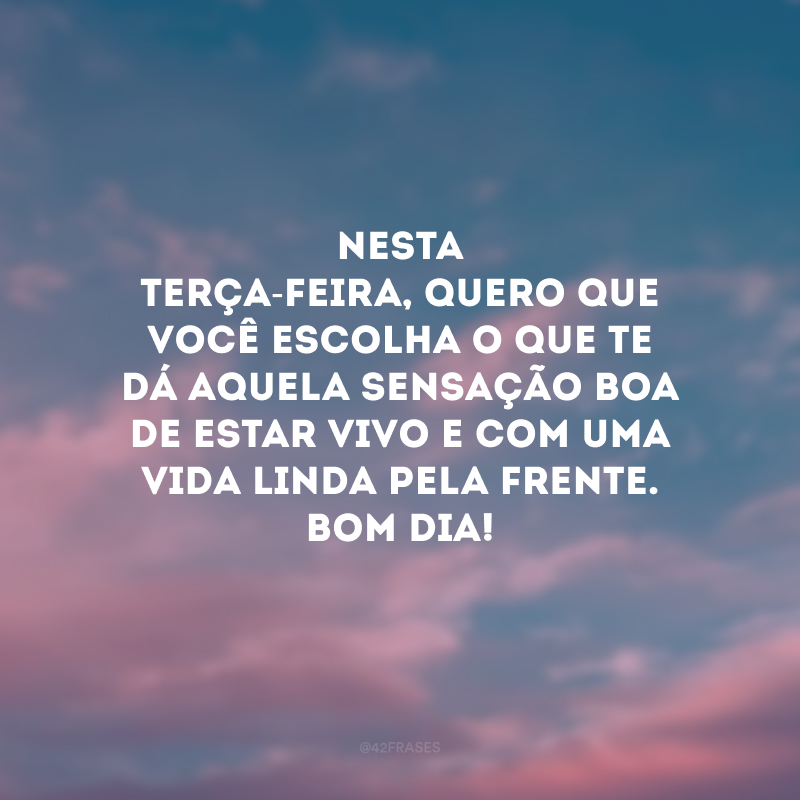 Nesta terça-feira, quero que você escolha o que te dá aquela sensação boa de estar vivo e com uma vida linda pela frente. Bom dia!