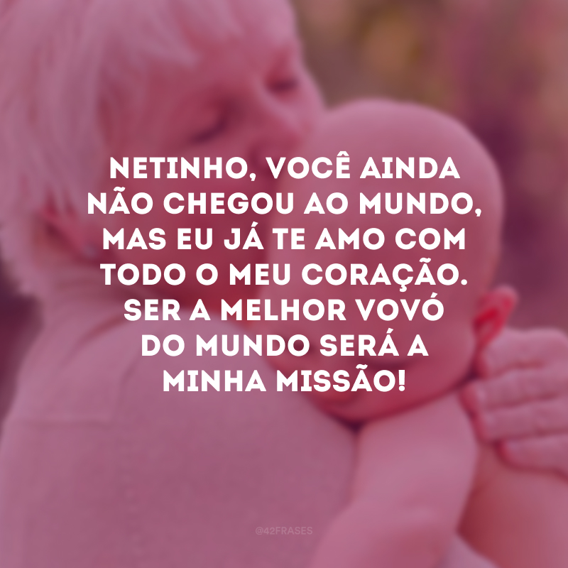 Netinho, você ainda não chegou ao mundo, mas eu já te amo com todo o meu coração. Ser a melhor vovó do mundo será a minha missão!