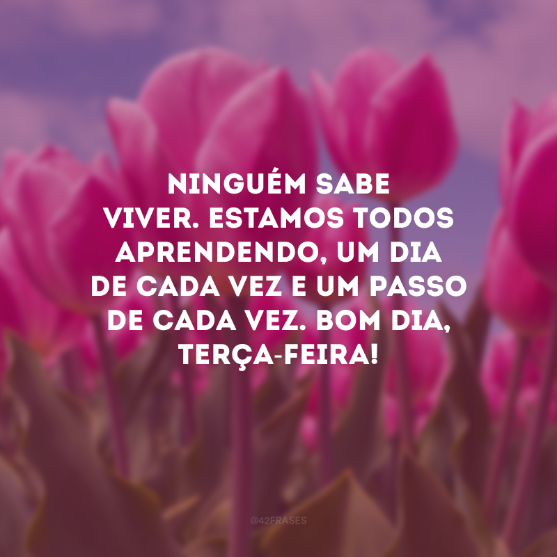 Ninguém sabe viver. Estamos todos aprendendo, um dia de cada vez e um passo de cada vez. Bom dia, terça-feira!