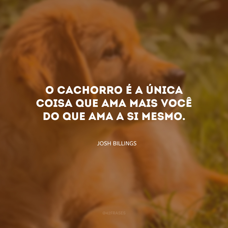 O cachorro é a única coisa que ama mais você do que ama a si mesmo.