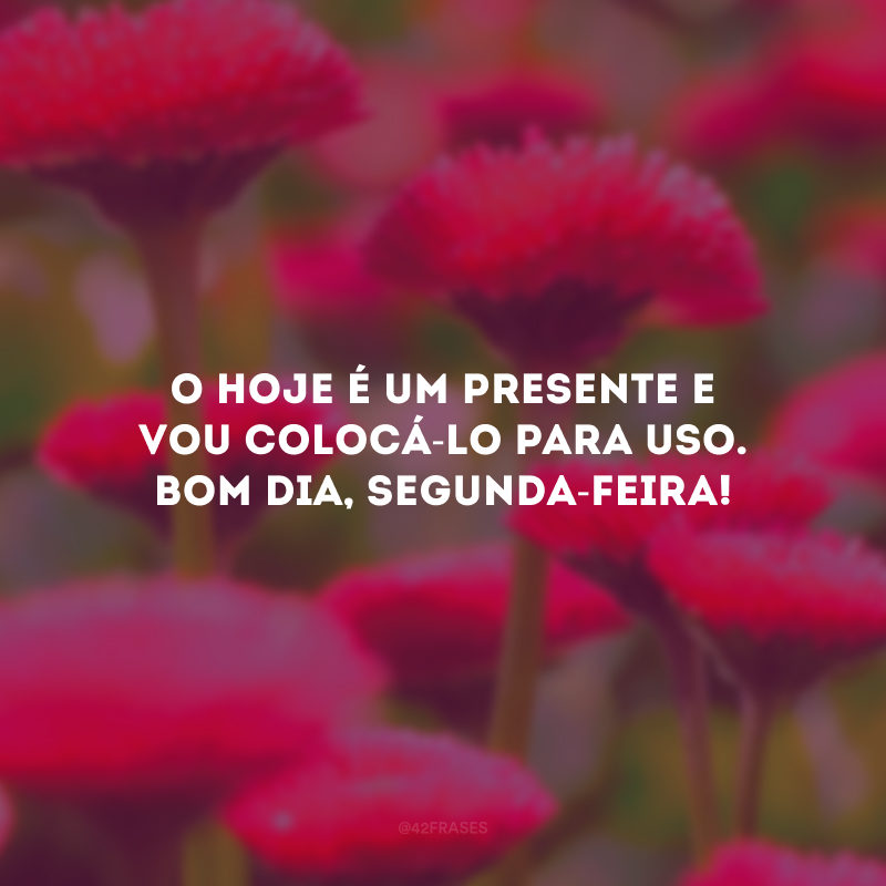 O hoje é um presente e vou colocá-lo para uso. Bom dia, segunda-feira!