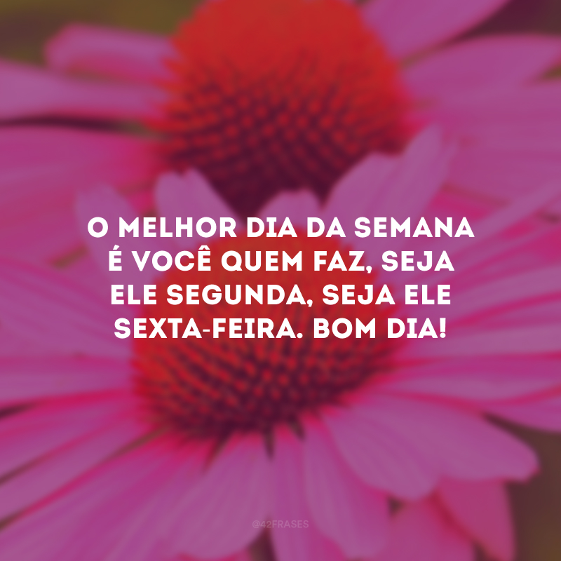 O melhor dia da semana é você quem faz, seja ele segunda, seja ele sexta-feira. Bom dia!