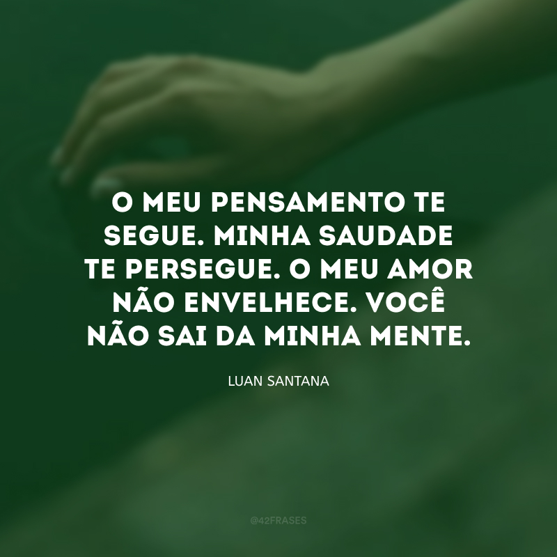 O meu pensamento te segue. Minha saudade te persegue. O meu amor não envelhece. Você não sai da minha mente.