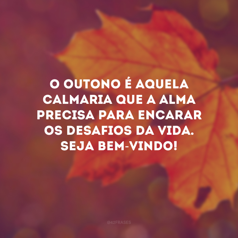 O outono é aquela calmaria que a alma precisa para encarar os desafios da vida. Seja bem-vindo!