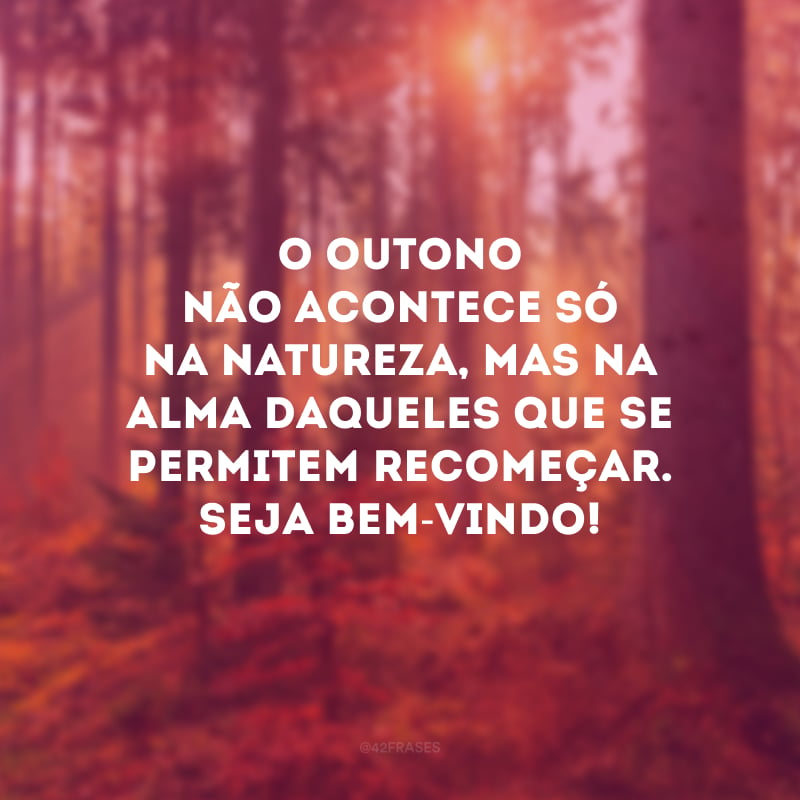 O outono não acontece só na natureza, mas na alma daqueles que se permitem recomeçar. Seja bem-vindo!