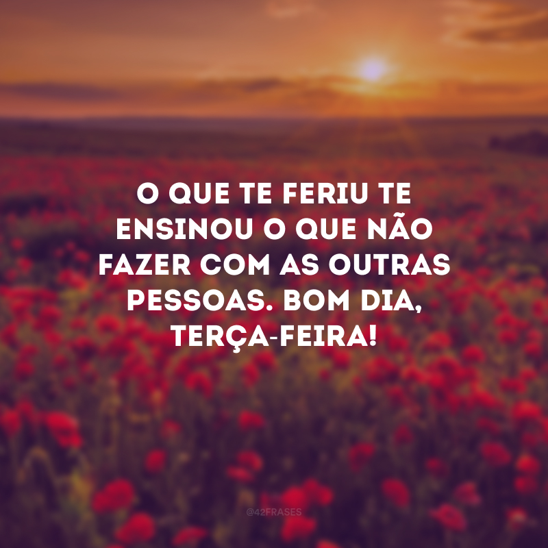 O que te feriu te ensinou o que não fazer com as outras pessoas. Bom dia, terça-feira!