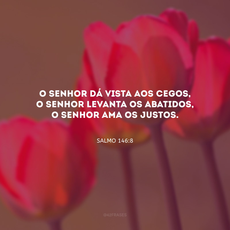 O Senhor dá vista aos cegos, o Senhor levanta os abatidos, o Senhor ama os justos. 