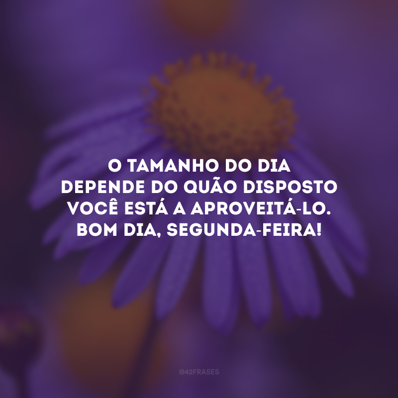 O tamanho do dia depende do quão disposto você está a aproveitá-lo. Bom dia, segunda-feira!