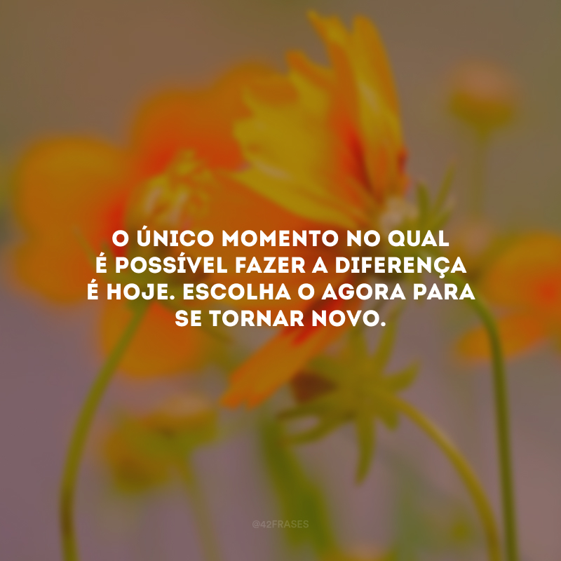 O único momento no qual é possível fazer a diferença é hoje. Escolha o agora para se tornar novo.