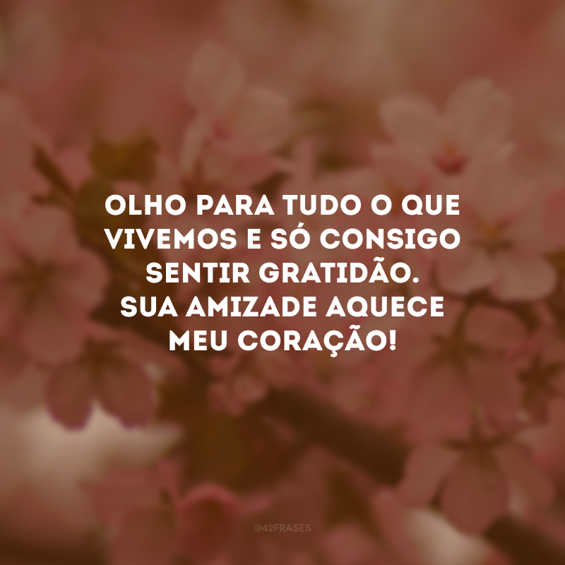 Olho para tudo o que vivemos e só consigo sentir gratidão. Sua amizade aquece meu coração!