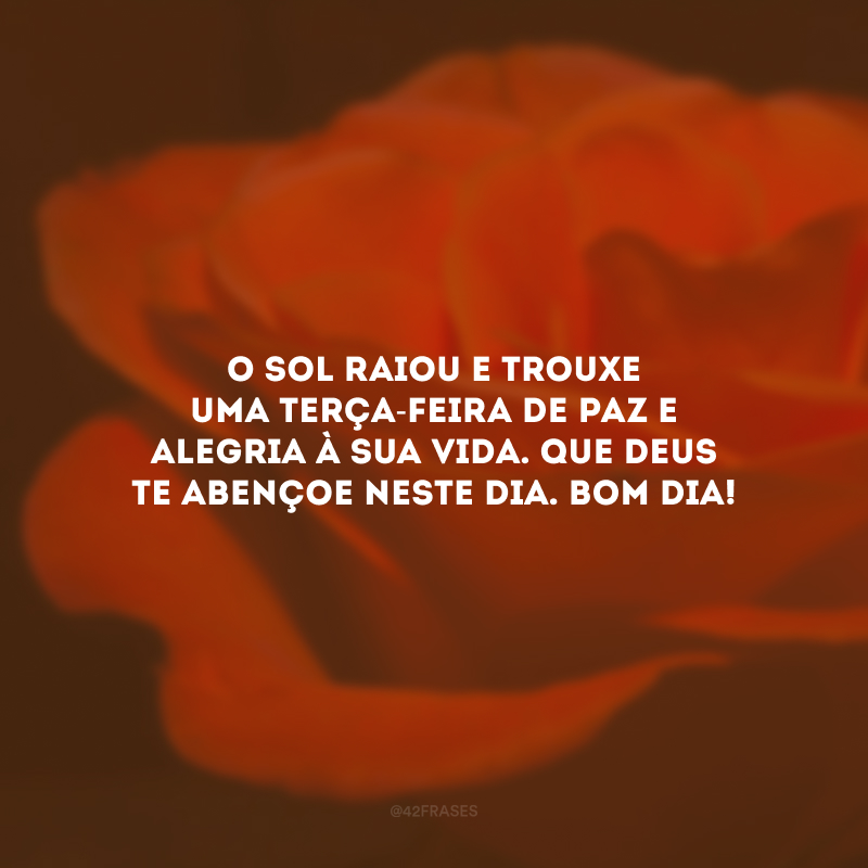 O sol raiou e trouxe uma terça-feira de paz e alegria à sua vida. Que Deus te abençoe neste dia. Bom dia!