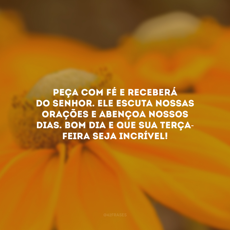 Peça com fé e receberá do Senhor. Ele escuta nossas orações e abençoa nossos dias. Bom dia e que sua terça-feira seja incrível!