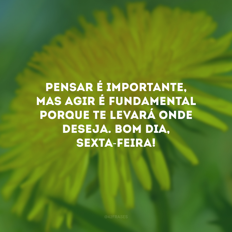 Pensar é importante, mas agir é fundamental porque te levará onde deseja. Bom dia, sexta-feira!